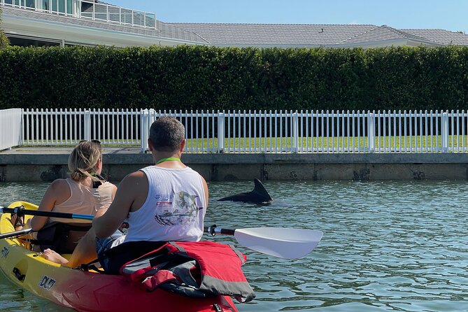 Kayak Eco Tour in Don Pedro Island - Key Points