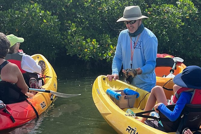 Kayak Eco Tour in Don Pedro Island - Timing, Booking, and Cancellation Policies