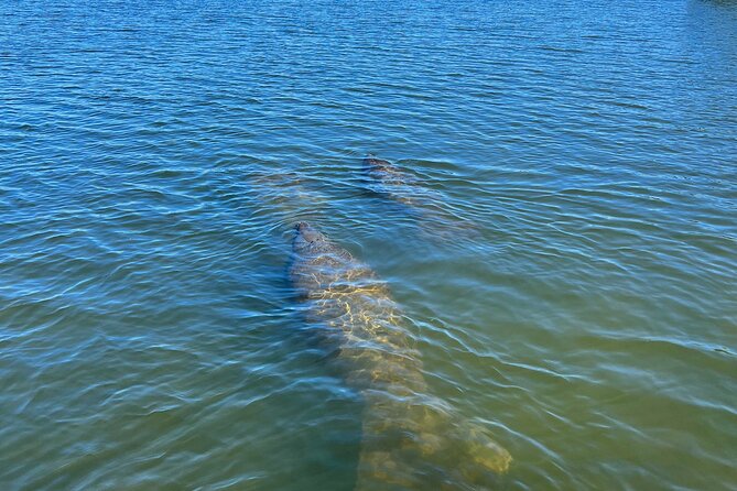 Kayak Eco Tour in Don Pedro Island - Who Will Enjoy This Kayak Eco Tour?