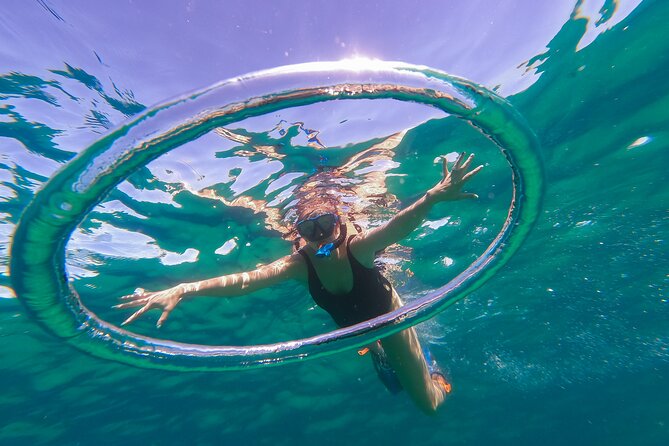Kayak Expedition to the Arch of Cabo San Lucas, Lovers Beach & Snorkel - Snorkeling at Pelican Rock