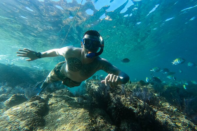 Kayak Expedition to the Arch of Cabo San Lucas, Lovers Beach & Snorkel - First Light: Kayaking at Sunrise