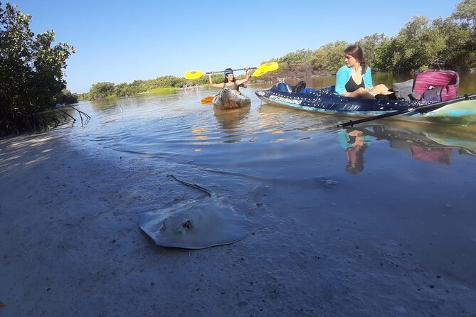 Kayak Experience in the Mangroves of Holbox Island - Key Points