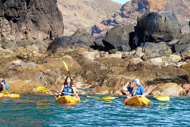 Kayak Experience @ Ponta de São Lourenço - Kayaking in Madeira’s Calm Waters