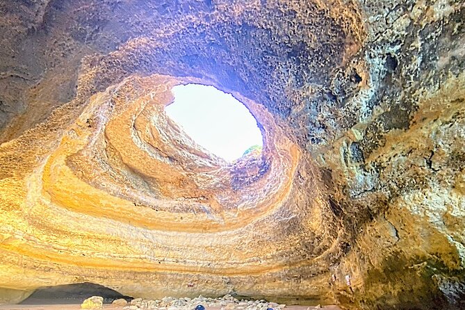 Kayak Experience with a Local - The Guides Knowledge and Environmental Focus