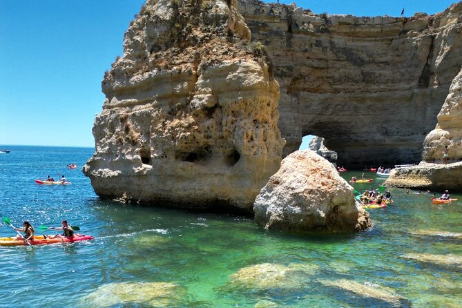 Kayak Experience with a Local - What Sets This Tour Apart from Others