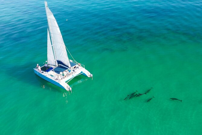 Kayak + Guided Snorkel & Morning Sail hosted by Honest Eco - Explore the Waters of Key West with an Eco-Focused Kayak and Snorkel Tour