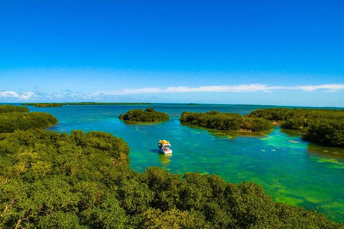 Kayak + Guided Snorkel & Morning Sail hosted by Honest Eco - Snorkeling at Sand Key Reef and Underwater Encounters