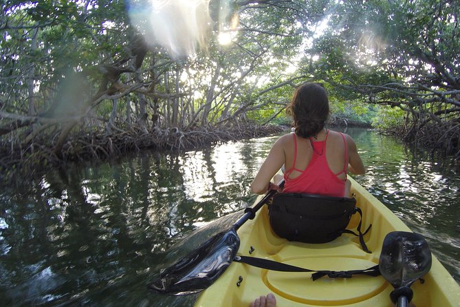 Kayak + Guided Snorkel & Morning Sail hosted by Honest Eco - Focus on Conservation and Ethical Wildlife Viewing