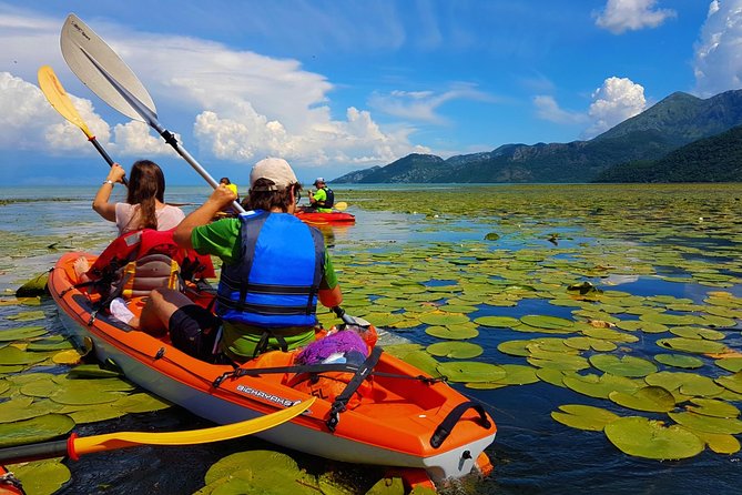 Kayak Guided Tour Skadar lake - Adventure in National park - Key Points