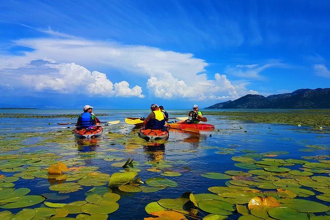 Kayak Guided Tour Skadar lake - Adventure in National park - Practical Details: Group Size, Booking, and Weather Considerations