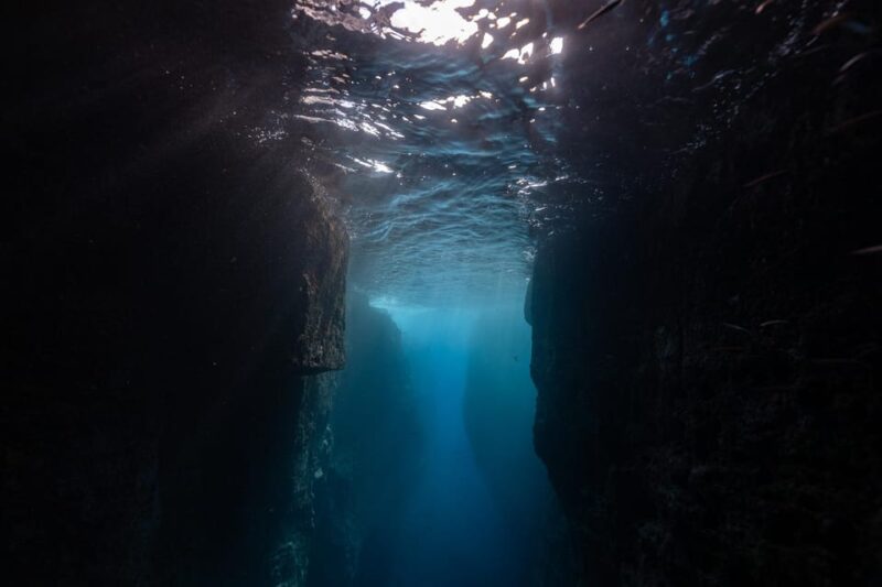 Kayak Guided Tour: Vila Franca do Campo Islet - Comparing this Tour to Similar Experiences