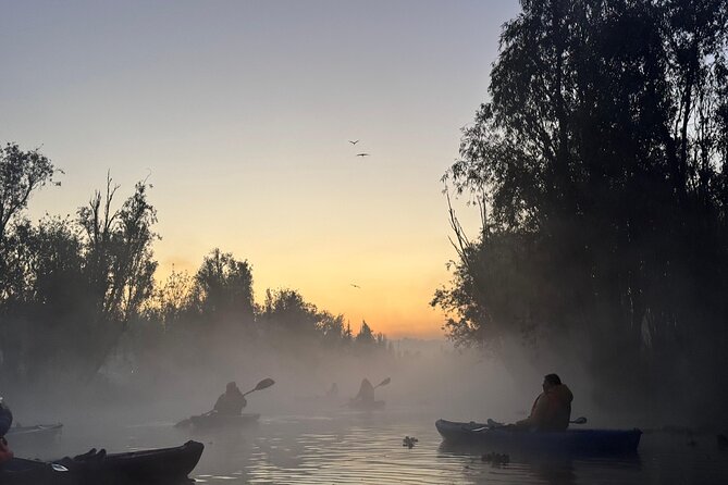 Kayak one more Sunrise Adventure in Xochimilco - Observing Wildlife During the Dawn Paddle