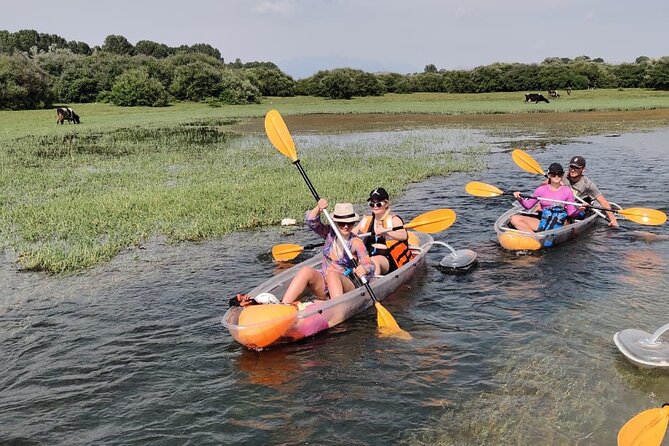 Kayak or Stand Up Paddle in Shkodra Lake and Buna River - Explore the Scenic Shkodra Lake and Buna River by Kayak or Stand-Up Paddle