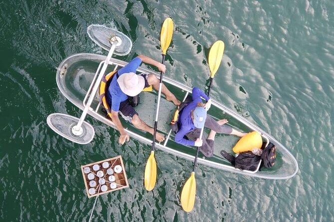 Kayak or Stand Up Paddle in Shkodra Lake and Buna River - Starting Point at Drini Times in Shkoder