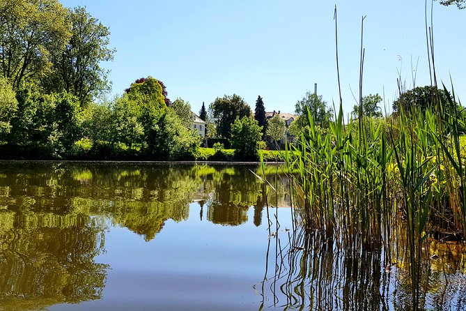 Kayak or SUP tour on the water through Saarbrücken - The Sum Up: A peaceful, scenic evening on Saarbrücken waters