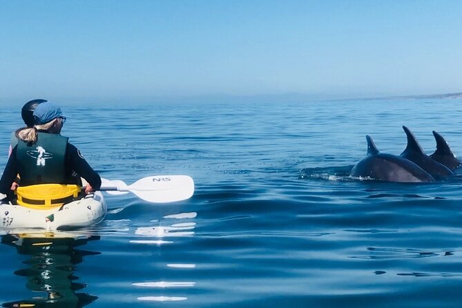 Kayak Rental for Two People in La Jolla - The Eco-Friendly Commitment of Everyday California