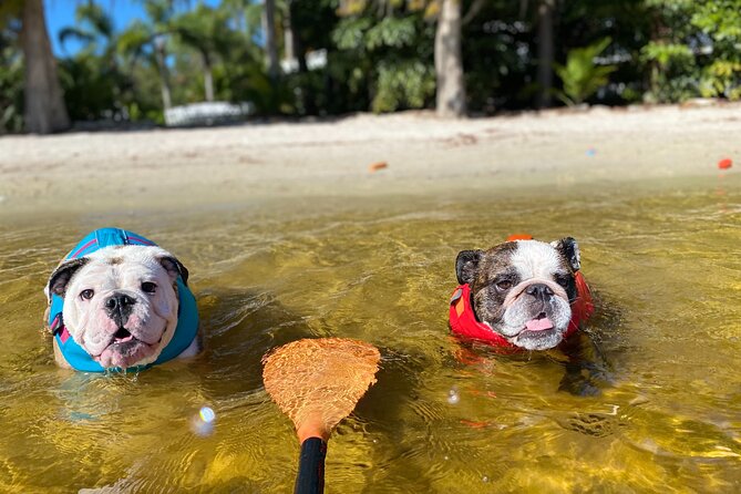 Kayak Rental from Lake Buena Vista Area - The Kayak and Paddleboard Experience on Lake Bryan