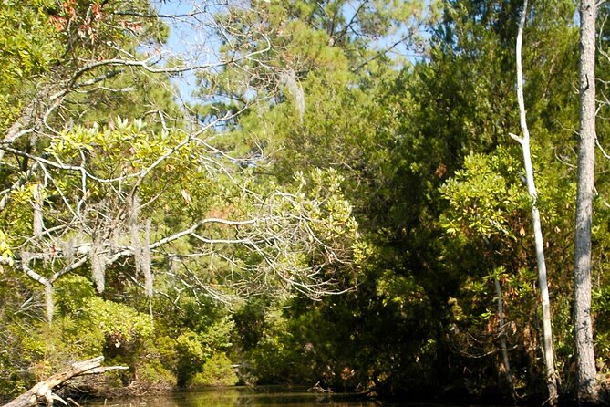 Kayak Rental on the Outer Banks - Discover the Outer Banks Kayak Experience at Kitty Hawk Woods
