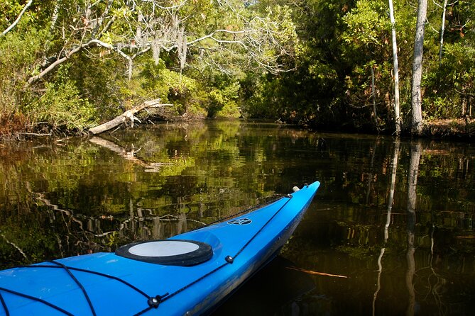 Kayak Rental on the Outer Banks - Easy Access to the Kitty Hawk Woods Coastal Preserve