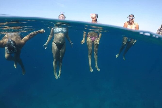 Kayak Safari with Dolphin and Turtle Watching in Guaza - Wildlife Encounters: Dolphins and Turtles in the Wild