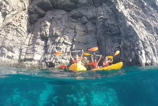 Kayak Safari with Dolphin and Turtle Watching in Guaza - The Booking Process and Group Size