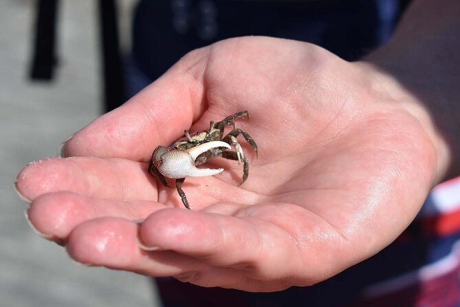 Kayak Salt Marsh Maze Tour - Equipment and Safety Measures