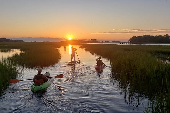 Kayak Salt Marsh Maze Tour - Wildlife Encounters and Nature Highlights