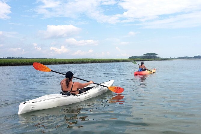 Kayak Salt Marsh Maze Tour - Timing, Pacing, and Crowd Control