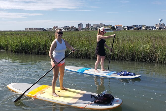 Kayak Salt Marsh Maze Tour - Customer Experience and Overall Satisfaction