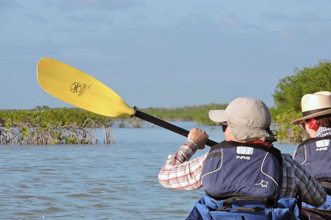 Kayak Sian Kaan Biosphere Reserve Sunset Tour - Local Food and Refreshments During the Tour