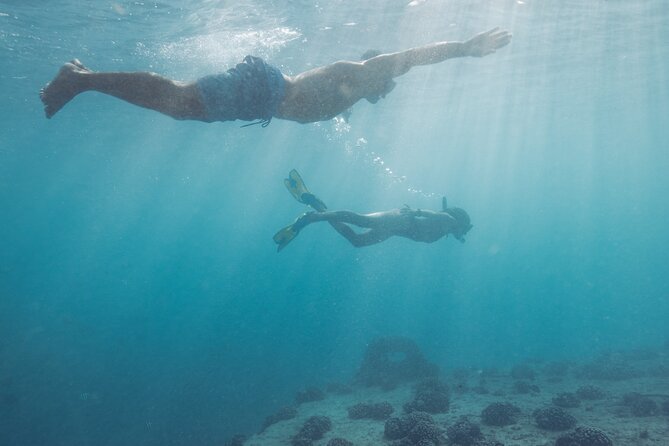 Kayak, Snorkel, and Surf with Turtles in Honolulu - Key Points