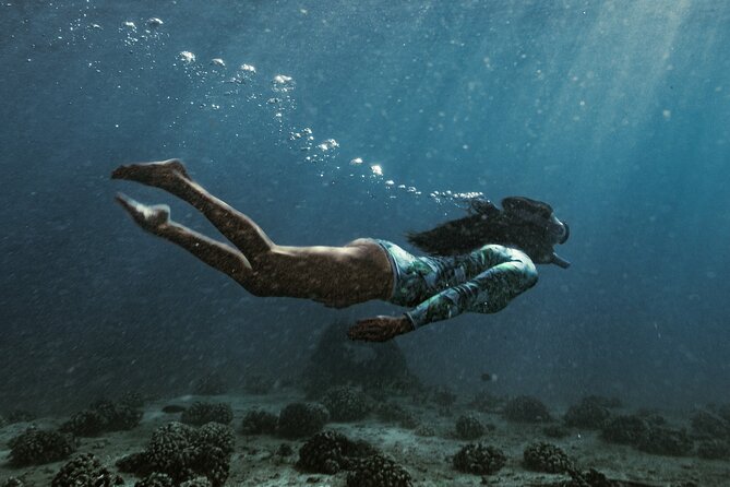 Kayak, Snorkel, and Surf with Turtles in Honolulu - Kayaking and Paddleboarding over Coral Reefs near Waikiki