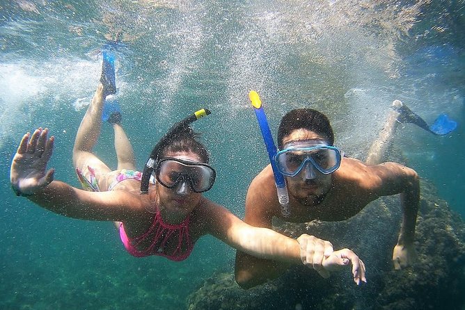 Kayak & Snorkel Tour in Cerro Gordo Natural Park, La Herradura - The Guides: Knowledgeable and Friendly