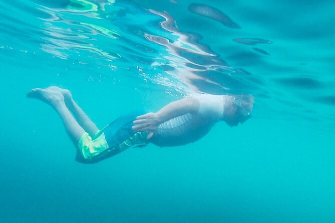 Kayak & Stand Up Paddle in Ferragudo | SELF-GUIDED - Value and Booking Considerations