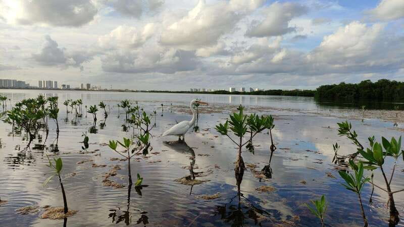 Kayak sunset cancun - Physical Requirements and Group Size
