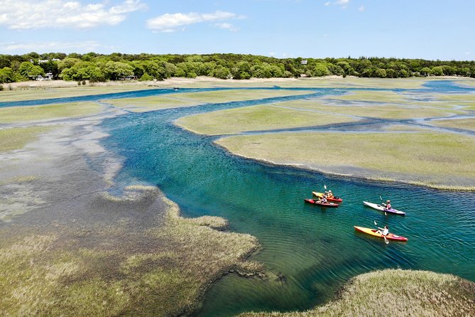 Kayak The Creek Nature Tour - Explore the Beauty of Cape Cods Scorton Creek by Kayak