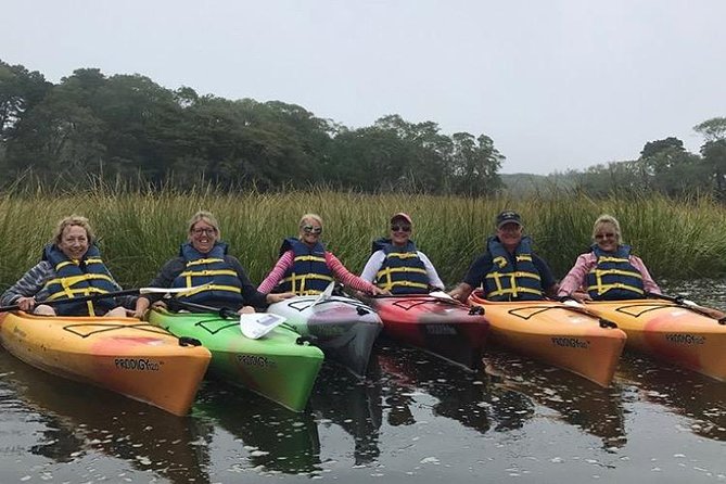 Kayak The Creek Nature Tour - The Guided Experience: Expert Interpretation of Nature