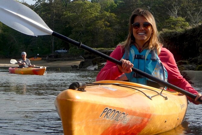 Kayak The Creek Nature Tour - Practical Tips for a Smooth Tour Experience