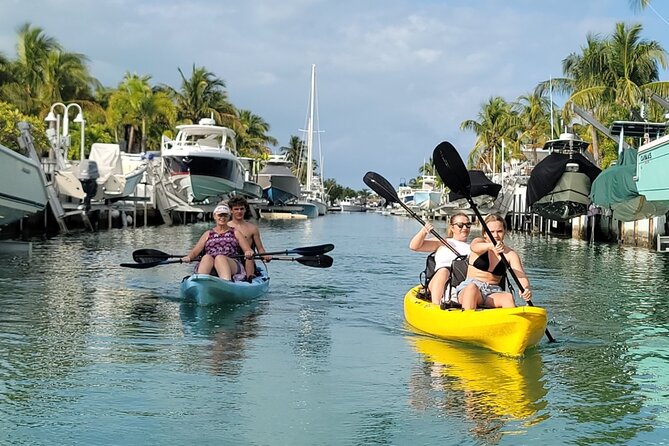 Kayak through Mangrove Forests in the Florida Keys - The Secluded Saltwater Lagoon Experience