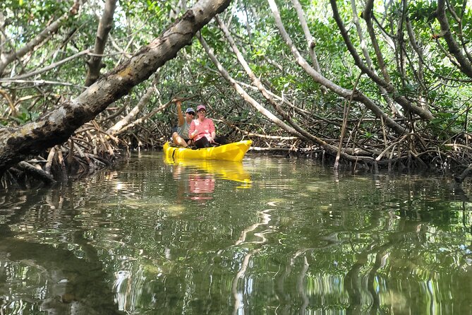 Kayak through Mangrove Forests in the Florida Keys - The Expert Guide and Small Group Atmosphere