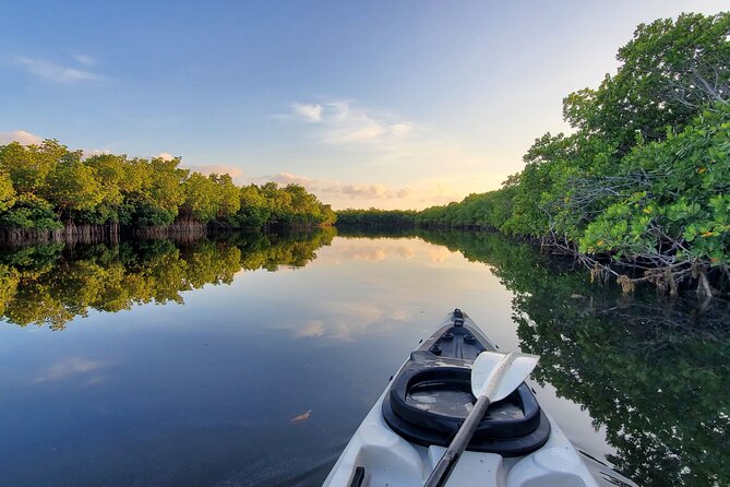 Kayak through Mangrove Forests in the Florida Keys - Value and Recommendations for Specific Travelers