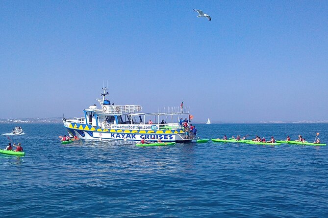 Kayak Tour - Key Points