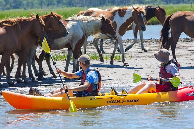 Kayak Tour along Assateague & Chincoteague Island, Virginia - Key Points