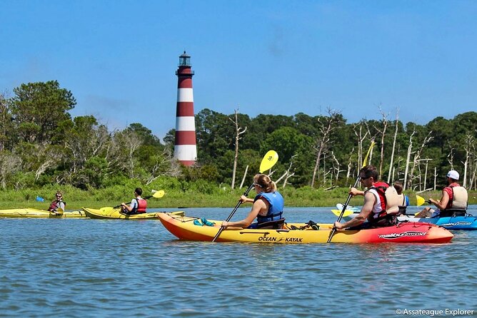 Kayak Tour along Assateague & Chincoteague Island, Virginia - What Makes This Tour Stand Out