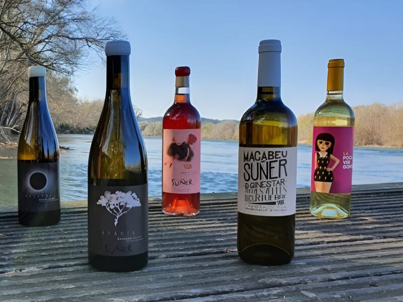 Kayak tour and Wine tasting at the Ebro river - Practical Tips for a Smooth Experience