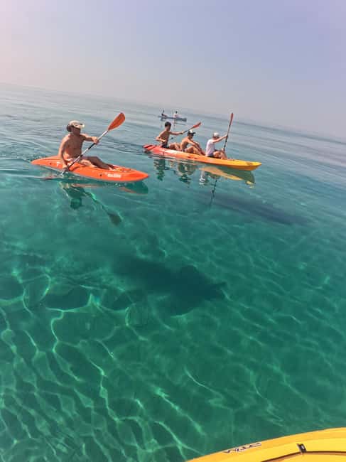 Kayak Tour: From Cala Manbrù to the secret paradise of Torre Salsa - Discover Sicily’s Hidden Coastline on a Kayak Tour from Cala Manbrù