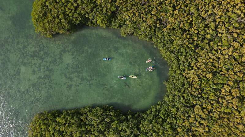 Kayak Tour in Cancun with Photos included - Explore Cancun’s Mangroves with a Guided Kayak Adventure