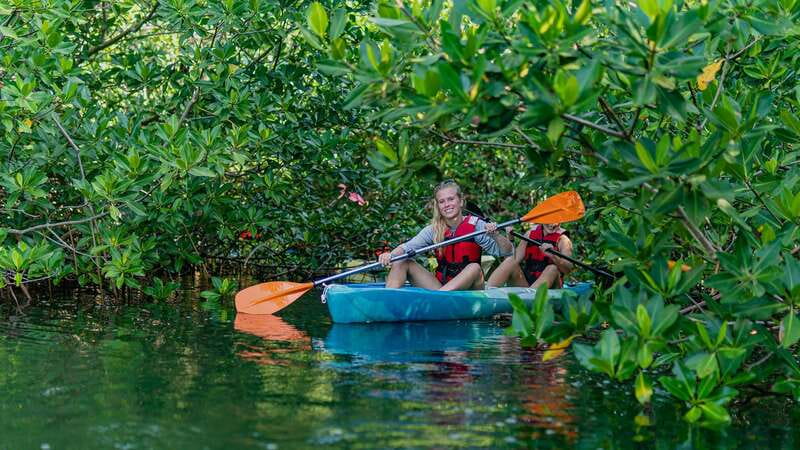 Kayak Tour in Cancun with Photos included - Navigating the Calm Waters of Nichupté Lagoon