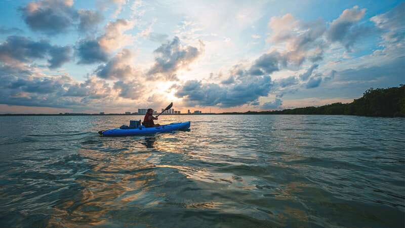 Kayak Tour in Cancun with Photos included - Wildlife Encounters in the Mangrove Ecosystem