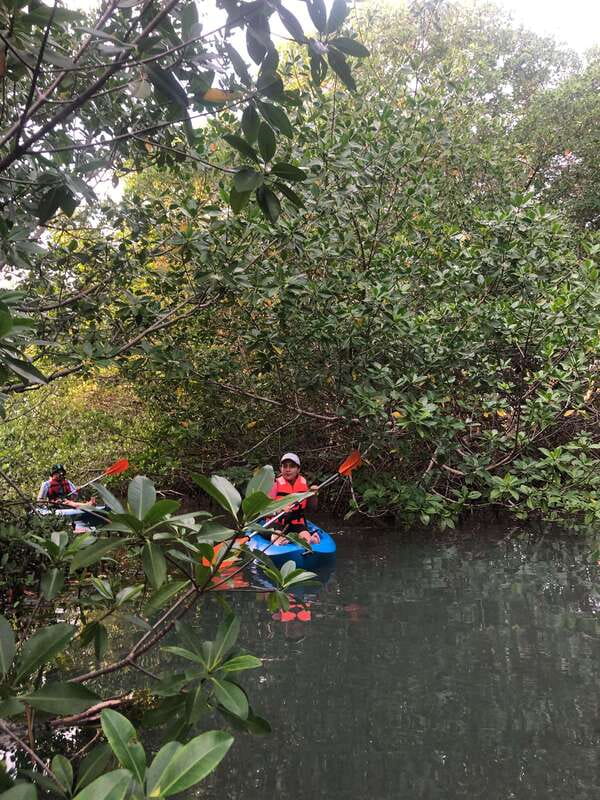 Kayak Tour in Cancun with Photos included - Sunset Kayaking in the Mangroves: An Unbeatable View